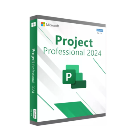 Microsoft Project Professional 2024