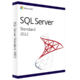 Microsoft SQL Server Standard 2022