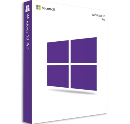 Microsoft Windows 10 Professional