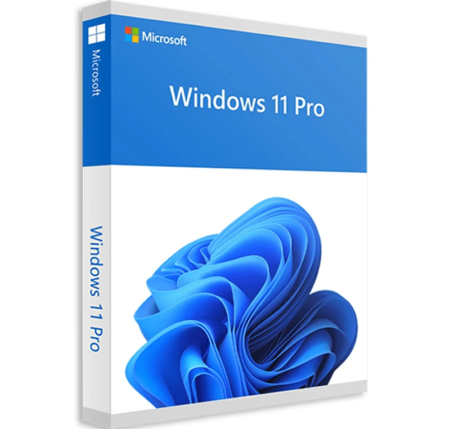 Microsoft Windows 11 Professional