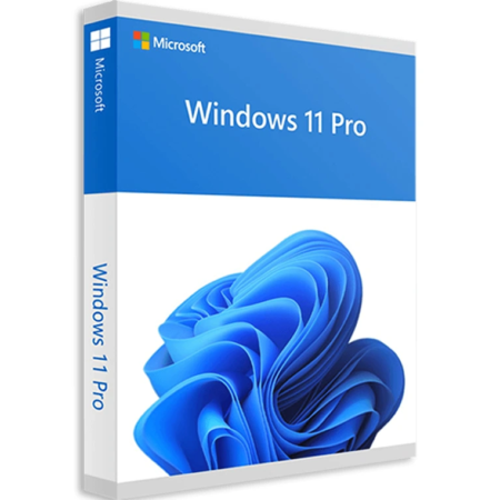 Microsoft Windows 11 Professional