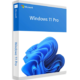 Microsoft Windows 11 Professional