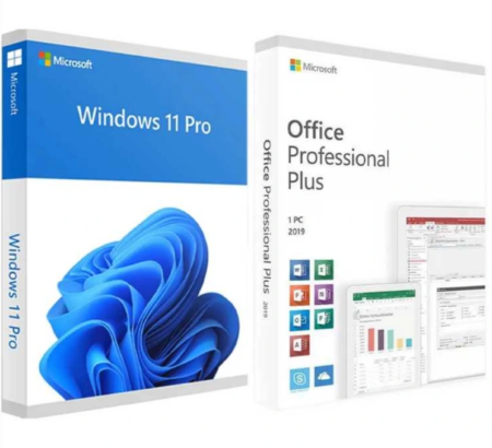 Microsoft Windows 11 Professional + Microsoft Office 2019 Professional Plus