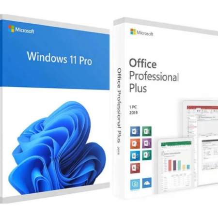 Microsoft Windows 11 Professional + Microsoft Office 2019 Professional Plus
