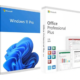 Microsoft Windows 11 Professional + Microsoft Office 2019 Professional Plus