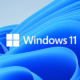 Windows 11 Installation and Activation Guide